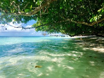 Scenic view of sea against sky