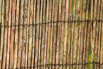 Full frame shot of rusty metal fence