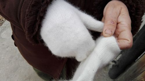 Close-up of woman hand