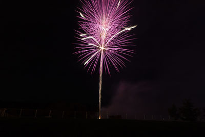 Low angle view of firework display at night