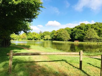 Scenic view of trees in park against sky