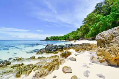 Scenic view of beach against sky