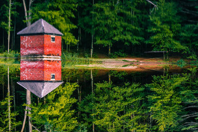 House by lake in forest