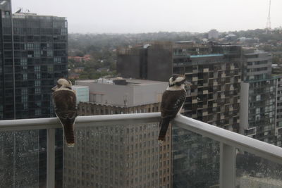 View of bird perching on building against sky