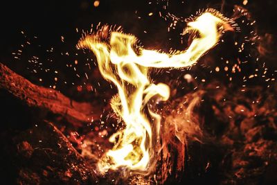 Close-up of fire in the dark