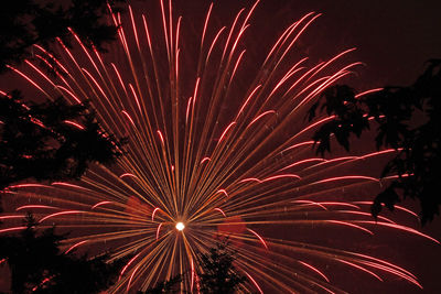 Low angle view of firework display at night