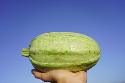 Close-up of person holding apple against blue sky