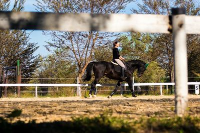 Man riding horse on field