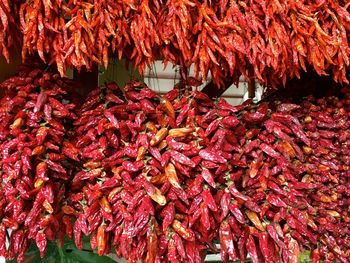 Full frame shot of red chili peppers for sale in market