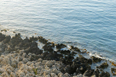 High angle view of rocks on beach