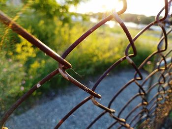 Close-up of chainlink fence