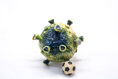 Close-up of a frog over white background