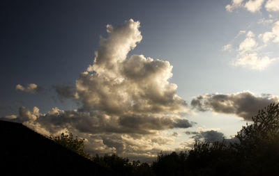 Low angle view of silhouette trees against sky