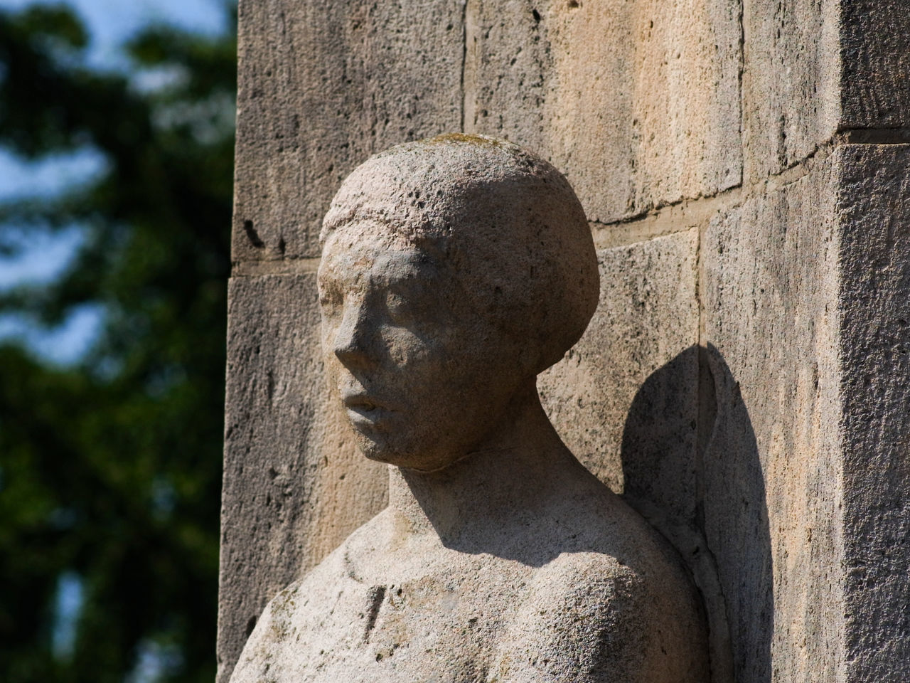 CLOSE-UP OF STATUE AGAINST TREE