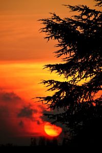 Silhouette tree against dramatic sky during sunset