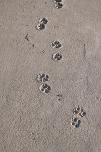 High angle view of footprints on sand