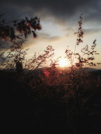 Scenic view of landscape against sky at sunset