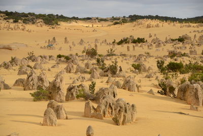 Scenic view of desert