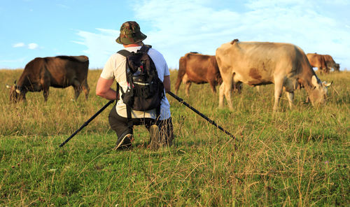 Rear view of man with cows on land against sky