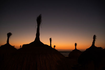 Silhouette trees on beach against sky during sunset