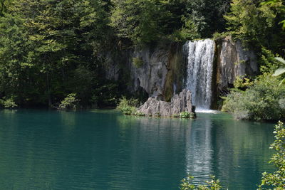 Scenic view of waterfall in forest