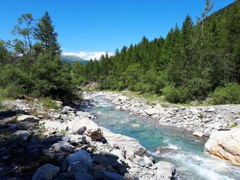 Scenic view of river in forest against sky