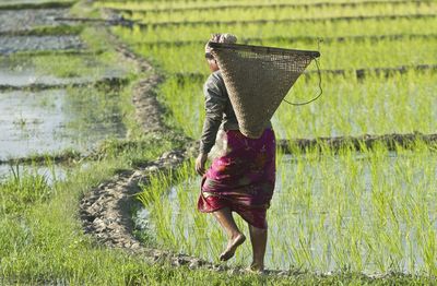 Full length of woman standing on field