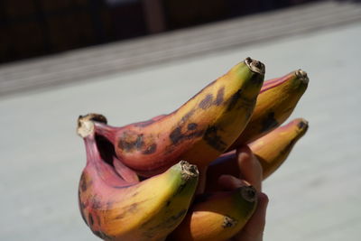 Close-up of bananas