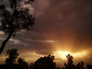 Silhouette trees against sky during sunset