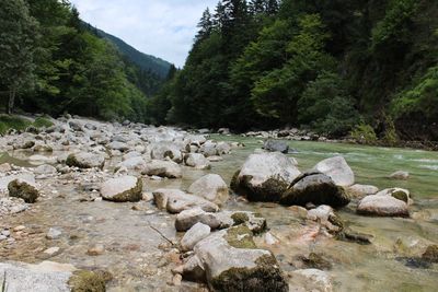 Rocks by river stream in forest