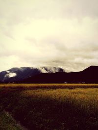 Scenic view of landscape against cloudy sky