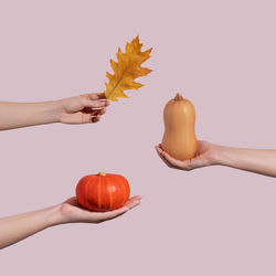 Female hands holding small orange pumpkins and decorative dry leaf on pink background