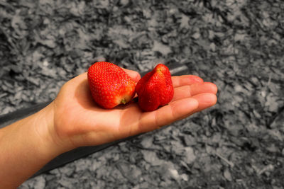 Close-up of hand holding strawberries