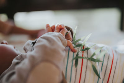 Close-up of hand holding bouquet