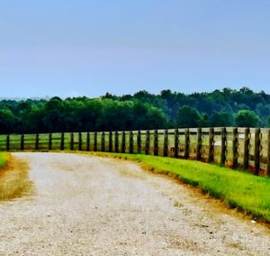 Scenic view of grassy field