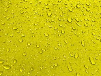 Close-up of water drops on leaf