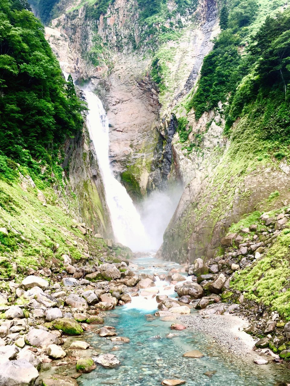 WATERFALL IN FOREST