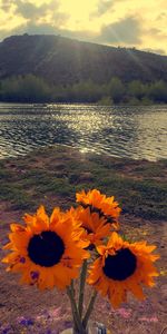 Scenic view of lake against orange sky