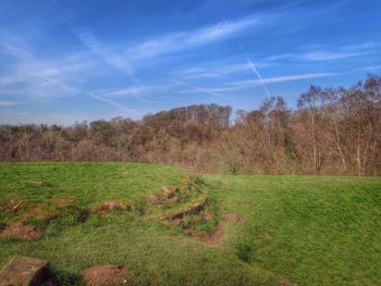 Scenic view of grassy field against sky