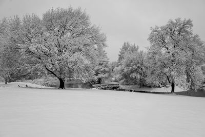 Trees on snow covered field against sky