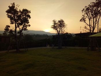 View of trees on field against sky during sunset