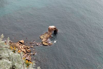 High angle view of rocks on beach