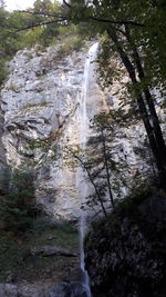 Water flowing through rocks in forest