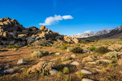 Golden morning sunlight in rocky mountain meadow and distant snowy mountain range