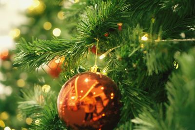 Close-up of christmas decoration hanging on tree