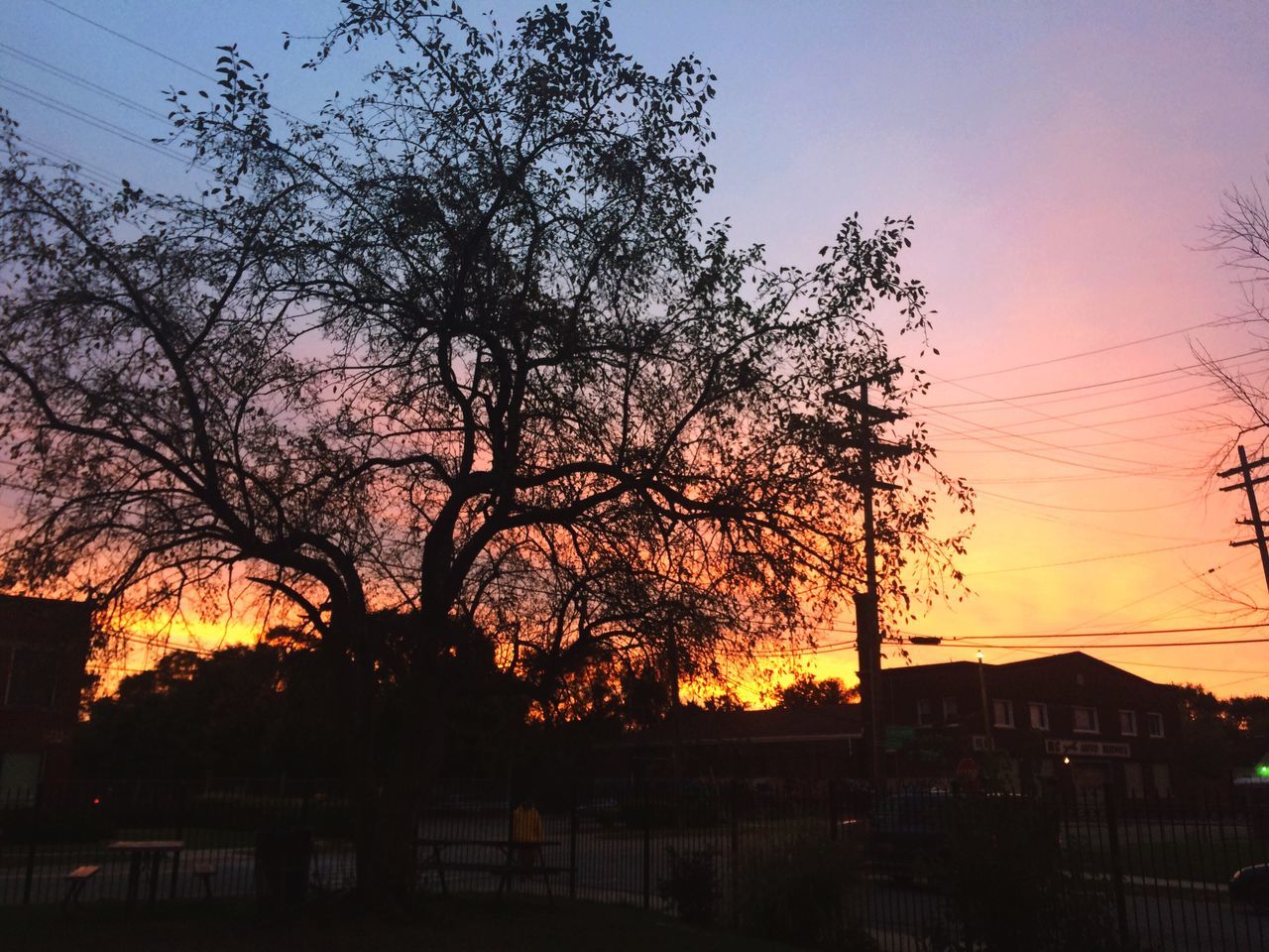 sunset, silhouette, built structure, building exterior, orange color, architecture, tree, no people, sky, sun, outdoors, nature, city, day