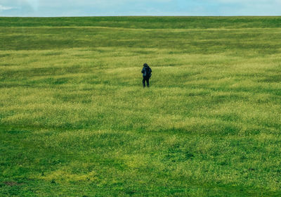 Rear view of man walking on grassy field