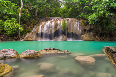 Scenic view of waterfall in forest