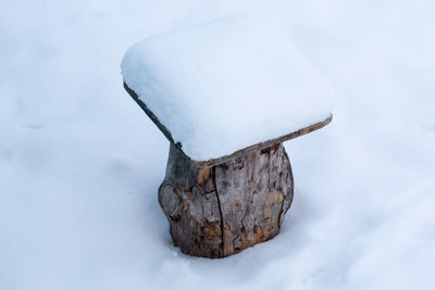 Close-up of snow covered wood on land