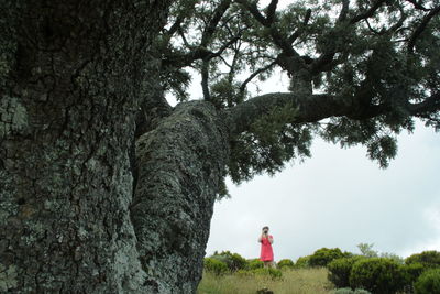 Female photographer standing on landscape